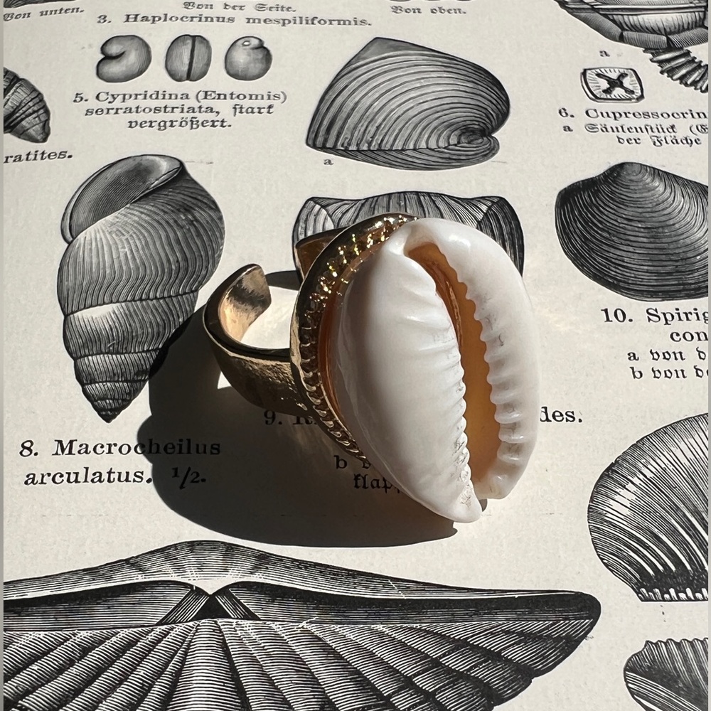 Shell ring, gold tone, one size